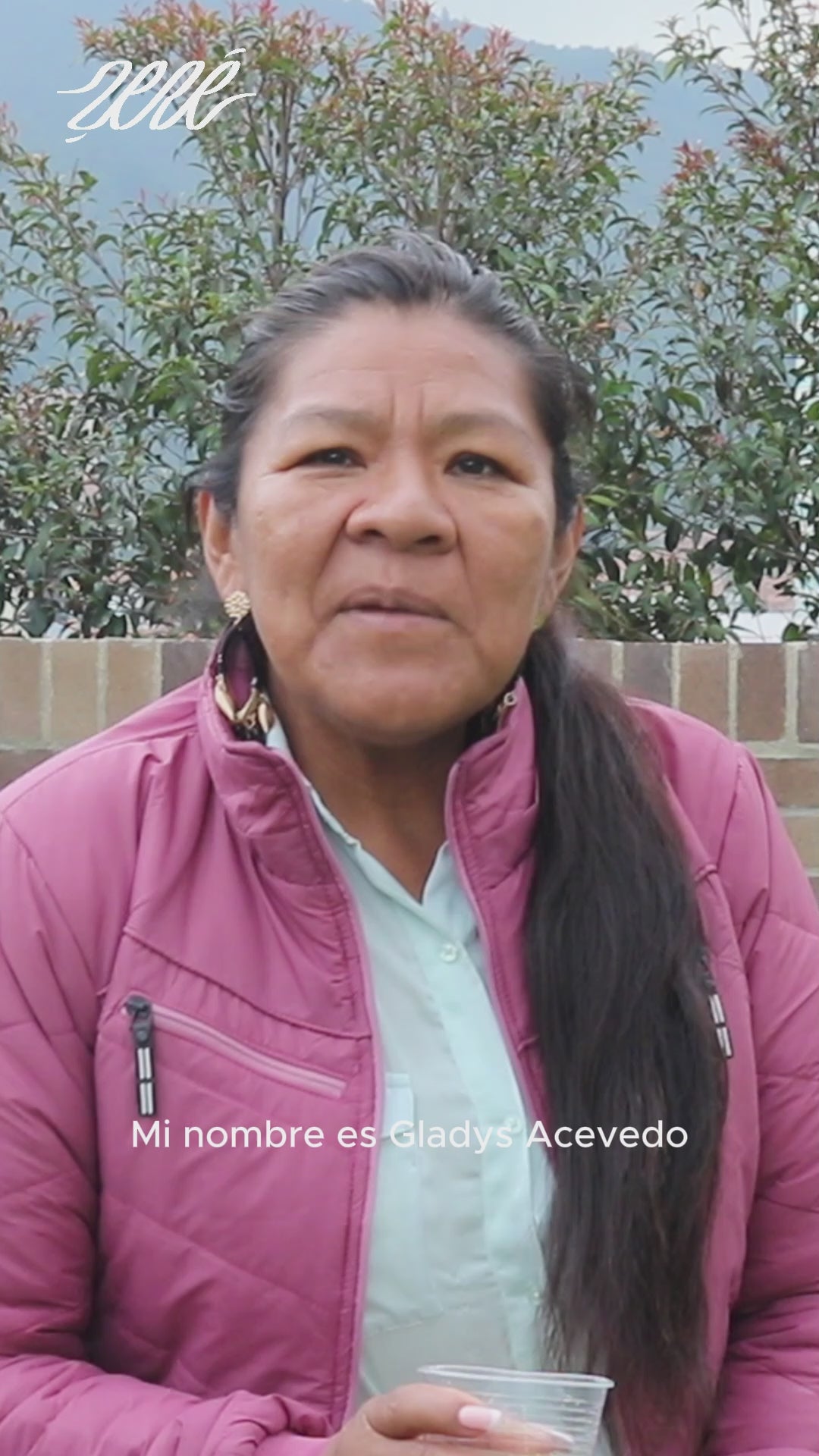 Cargar video: 